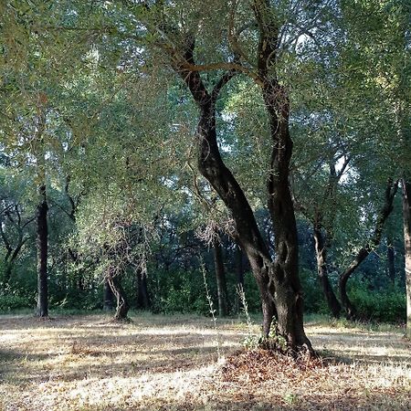 Villa Kefalomandouko Alepou Bagian luar foto