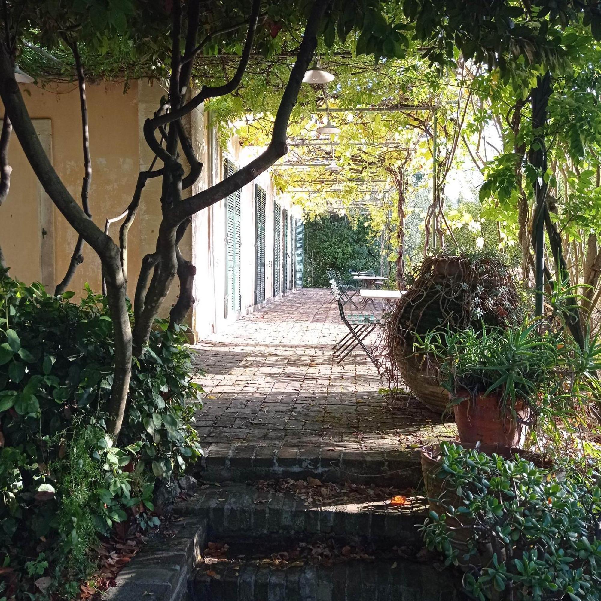Villa Kefalomandouko Alepou Bagian luar foto
