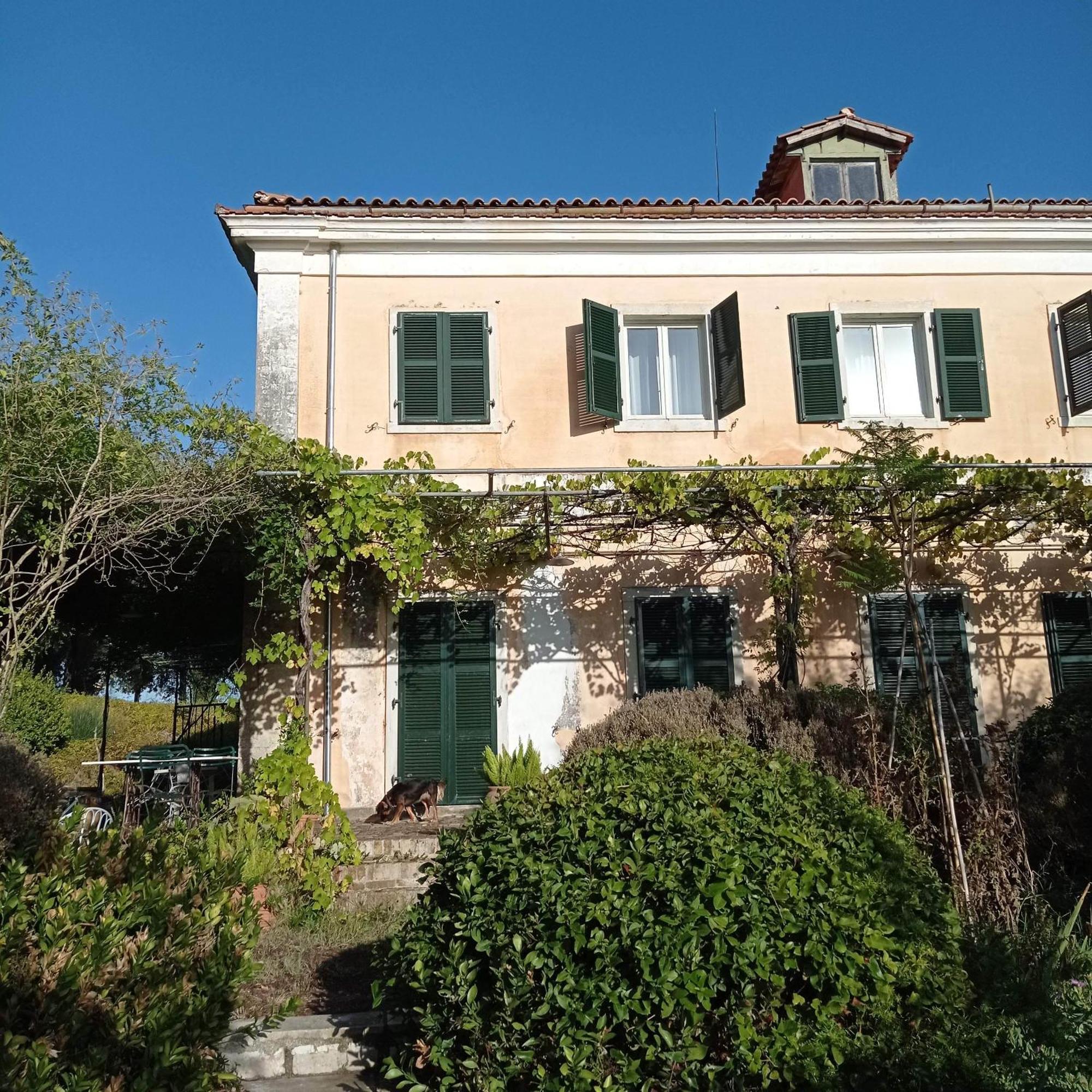 Villa Kefalomandouko Alepou Bagian luar foto